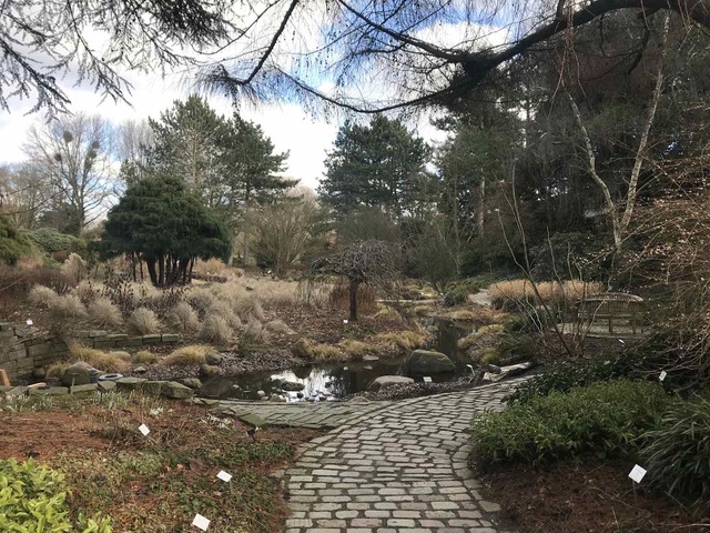 View of the botanical garden with a small stream, trees and bushes