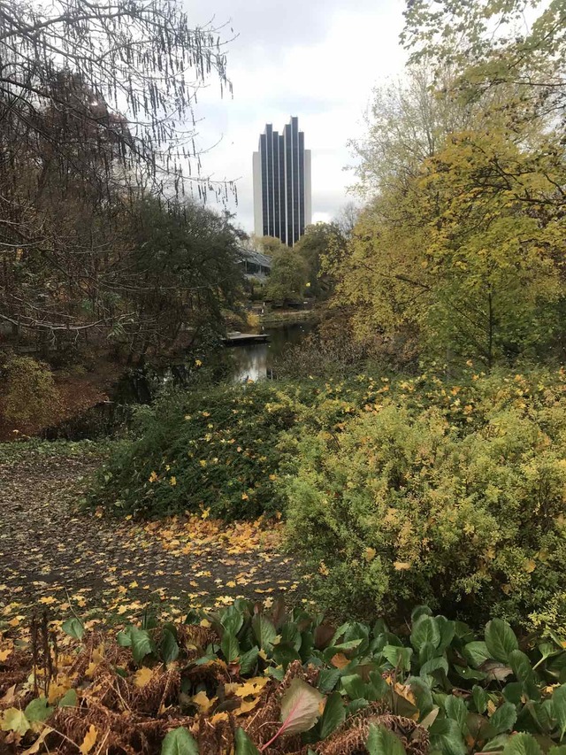 View of the park lake surrounded by trees and bushes